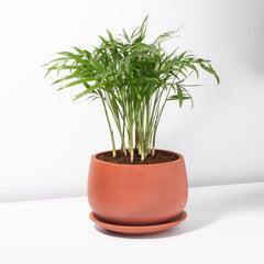 Valentina Terracotta Minimalist Planter 5.5"- Empty