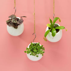 Amelia Hanging Planter 4"- Empty