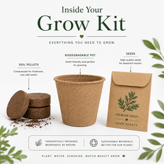 Pumpkin Patch Grow Kit