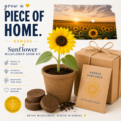 Kansas Sunflower Grow Kit