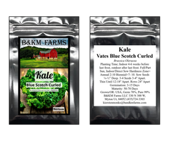 Kale Vates Blue Scotch Curled