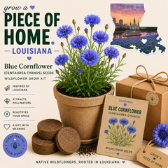 Louisiana Blue Cornflower Grow Kit
