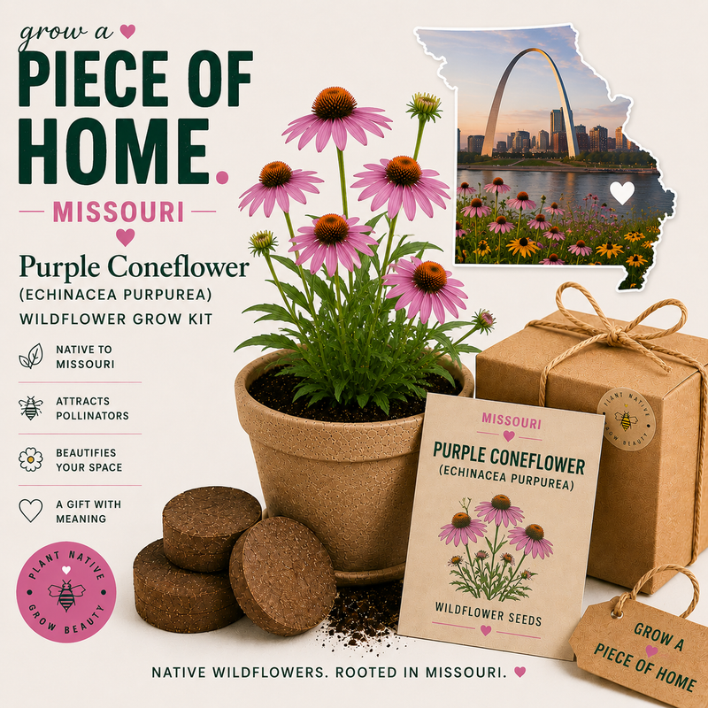 Missouri Purple Coneflower Grow Kit