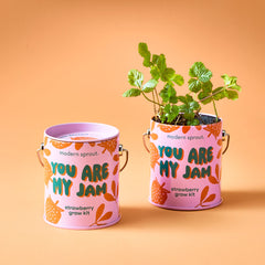 Complimentary Colors Grow Kits