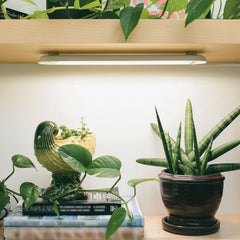Smart Growbar