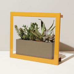Smart Standard Growframe