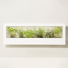 Smart Landscape Growframe