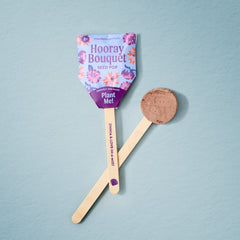 Seed Pops - Flowers
