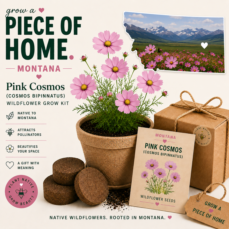 Montana Pink Cosmos Grow Kit