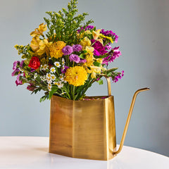 Watering Cans