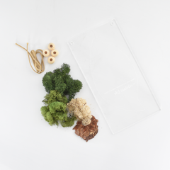 Moss Art DIY Kit Leaf Shape Hanging