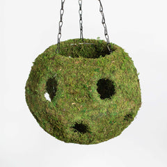 Fresh Green Moss Ball Hanging Round Basket Planter