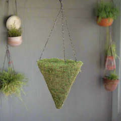 Green Preserved Moss Hanging Cone Basket Triangle Planter