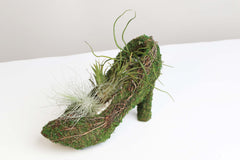 Stiletto Moss Planter Kit - DIY