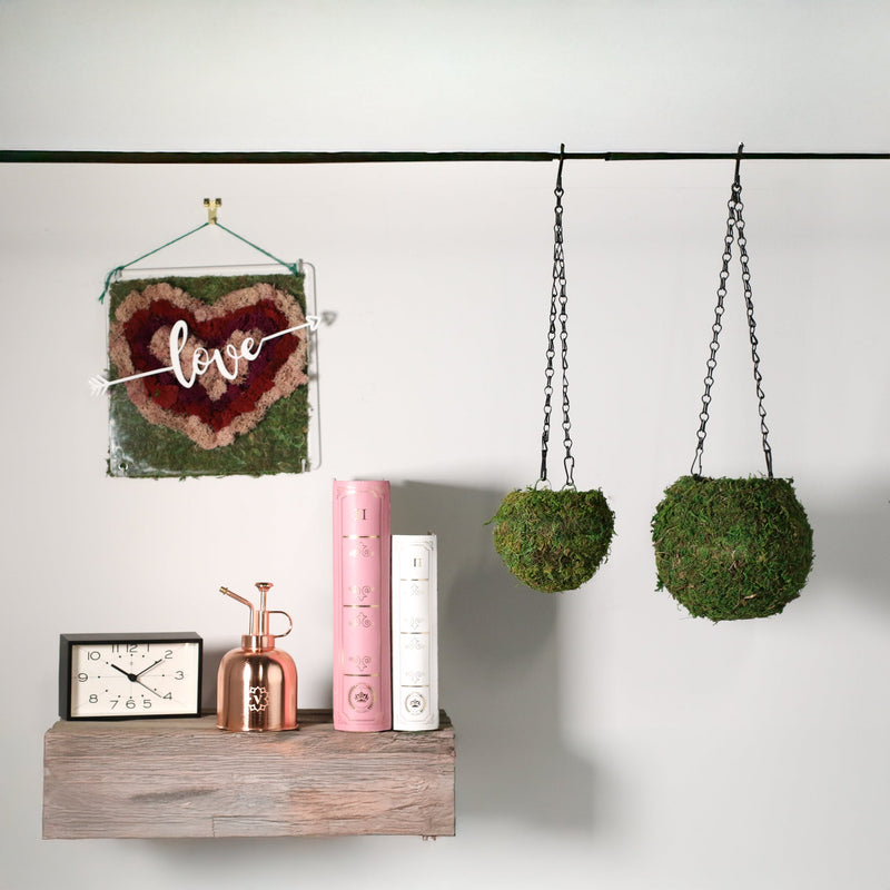 Fresh Green Kokedama Moss Hanging Planter Ball