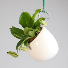 Minimalistic Ceramic White Signature Planter Bundle