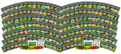BEST VALUE: 100,000 Vegetable Heirloom Seed Vault. 100 Seed Packets