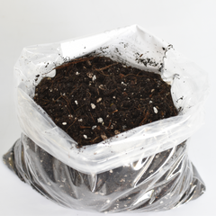 Lyfe Organic Soil Mix