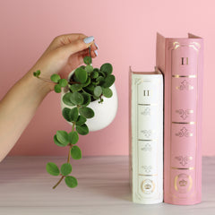Peperomia Hope 'Trailing Jade' Plant