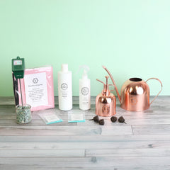 Plant Wellness Kit