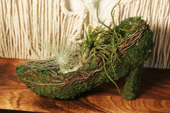 Stiletto Moss Planter Kit - DIY