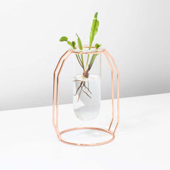 Lyfe Propagation Station - Single Tube Rose Gold