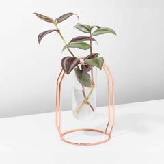 Lyfe Propagation Station - Single Tube Rose Gold
