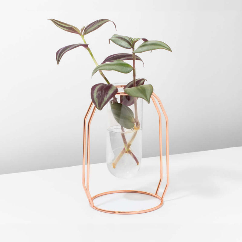 Lyfe Propagation Station - Single Tube Rose Gold