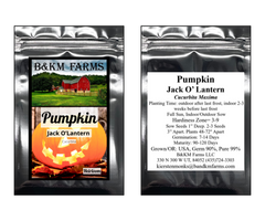 Pumpkin Jack O' Lantern Heirloom Seeds