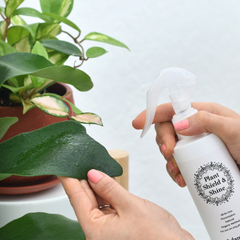 Plant Shield and Shine