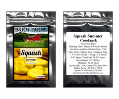 Crookneck Summer Squash