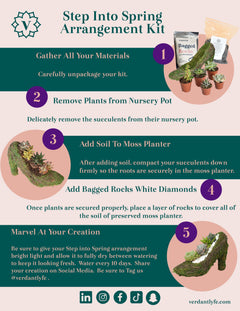 Stiletto Moss Planter Kit - DIY