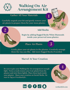 Stiletto Moss Planter Kit - DIY