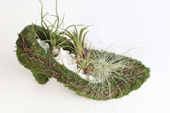 Stiletto Moss Planter Kit - DIY