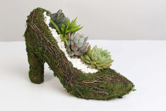 Stiletto Moss Planter Kit - DIY
