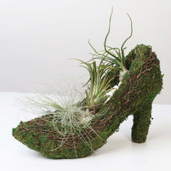 Stiletto Moss Planter Kit - DIY