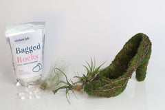 Stiletto Moss Planter Kit - DIY
