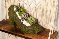 Stiletto Moss Planter Kit - DIY