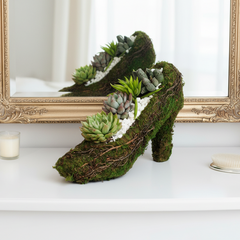 Stiletto Moss Planter Kit - DIY
