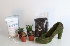 Stiletto Moss Planter Kit - DIY