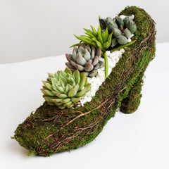 Stiletto Moss Planter Kit - DIY