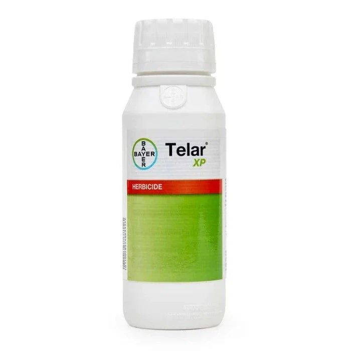 Telar XP