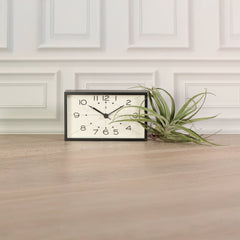 Tillandsia Capitata Peach Air Plant