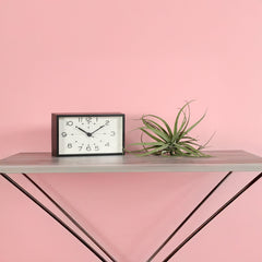 Tillandsia Capitata Peach Air Plant
