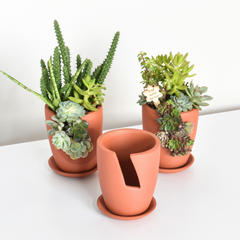 Succulent Terracotta Creations DIY Kit