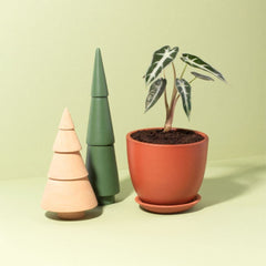 Marie Oval Terracotta Minimalist Planter - Empty