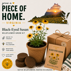 Virginia Black-Eyed Susan Grow Kit