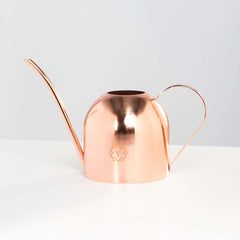 Lyfe Watering Can & Mister Bundle Rose Gold