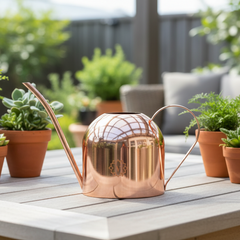 Lyfe Watering Can Rose Gold