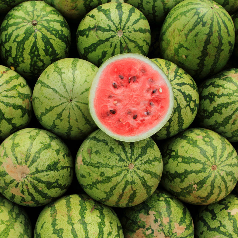 Crimson Sweet Watermelon Fruit Seeds